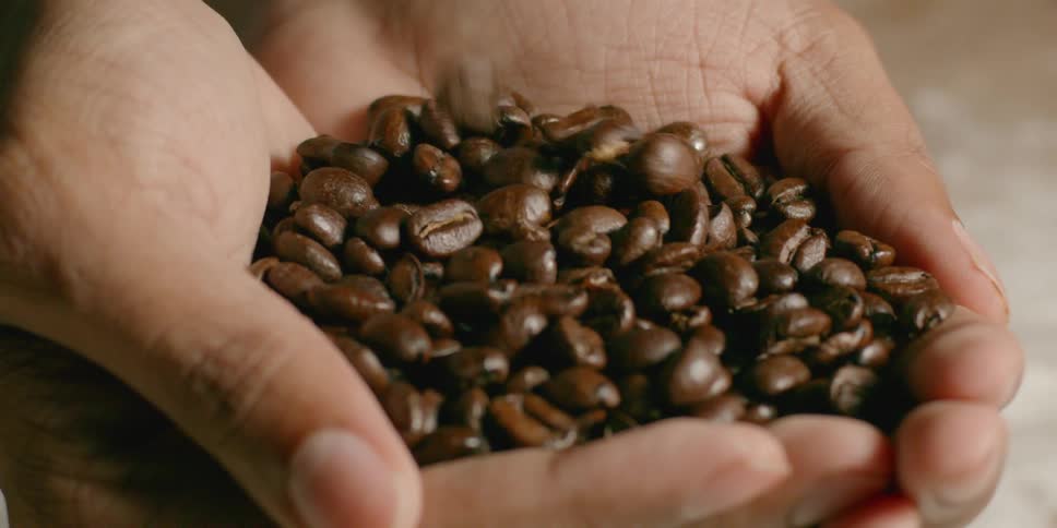 Coffee beans fall into a person's cupped hands