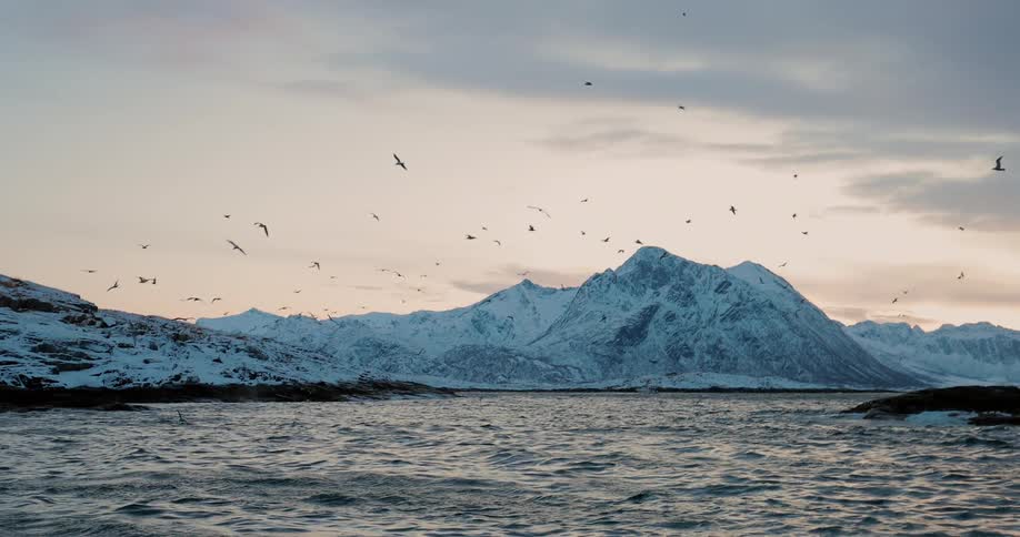 Birds fly over a mountain lake at sunset