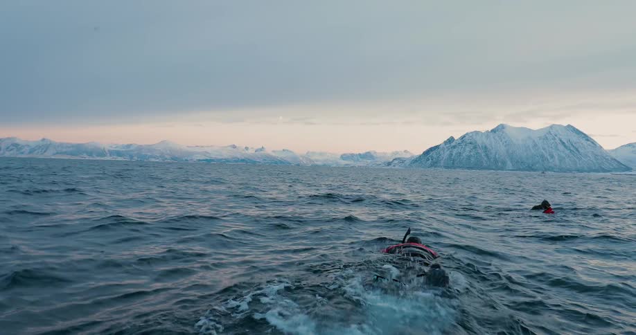 Divers swimming near the surface of some cold waters on a cloudy day