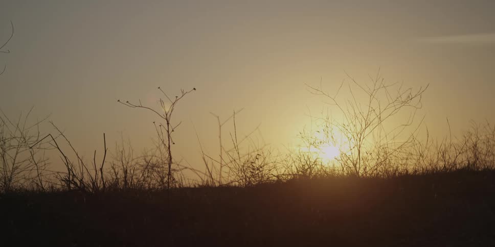 Sunset on the horizon