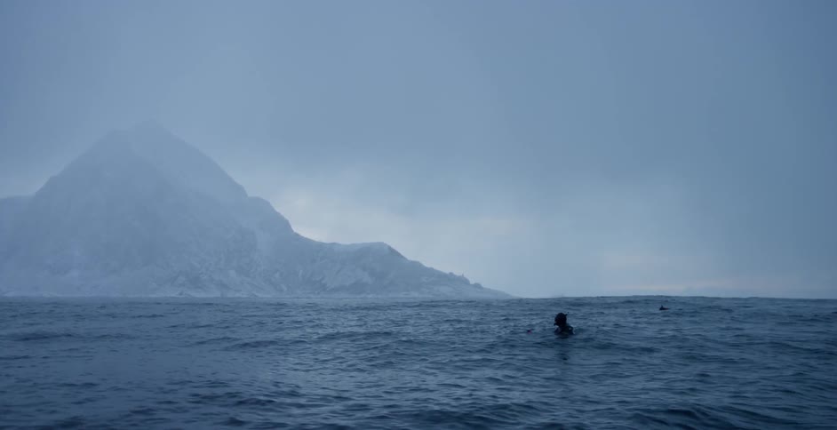 A diver swims in the ocean