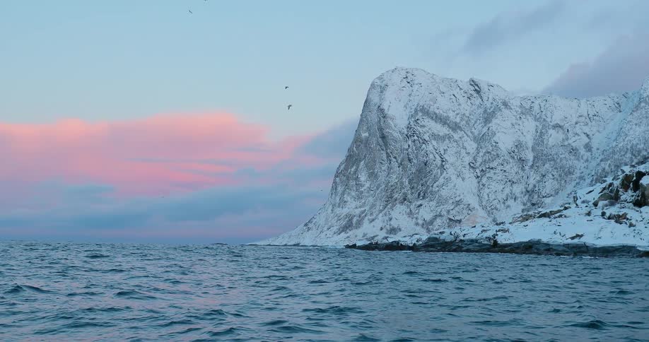 Birds fly over a snowy coast at sunrise