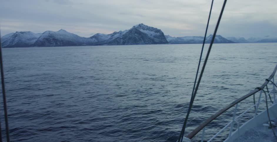 A boat travels on the water