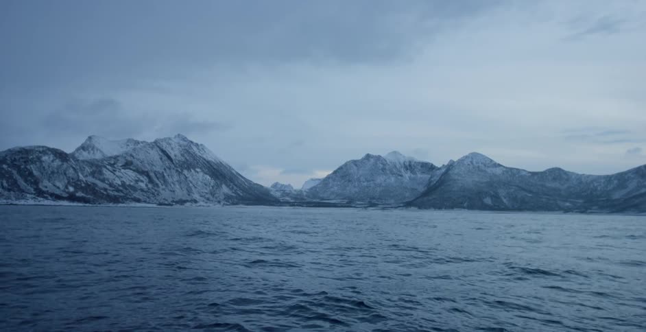 A whale's fin can be seen near the snow covered shore