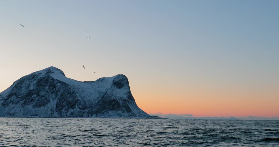 Birds flying over water surrounded by snowy mountains
