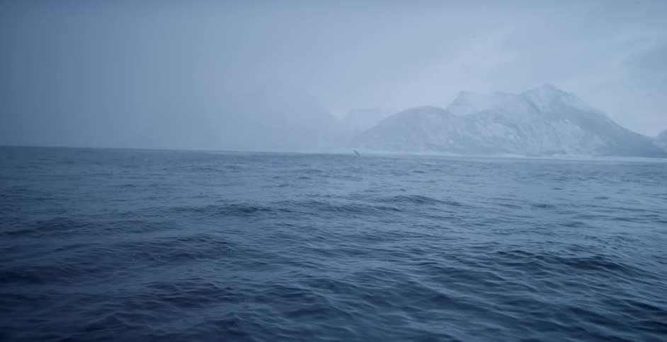 Rocky waves flow in the antarctic