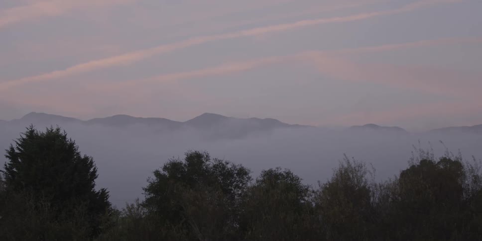 A line of trees in front of a mountain range