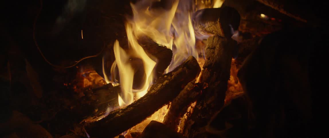 A campfire burns at night