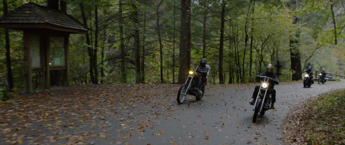 People ride their motorcycle over the leaves on the road