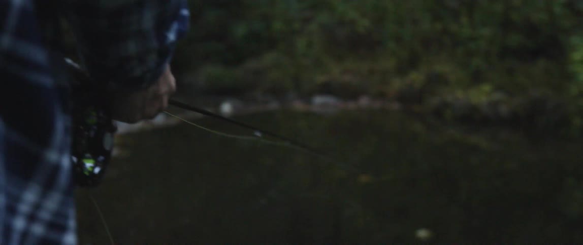 Person fishes in a small stream in the woods