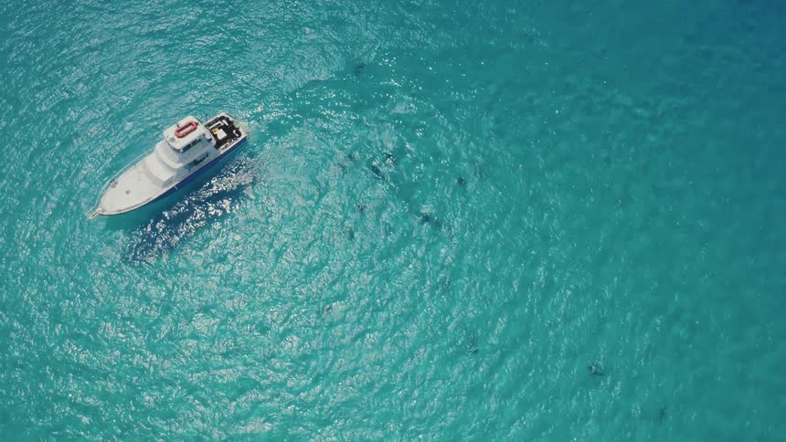 A boat is floating over shallow waters in the ocean during the day