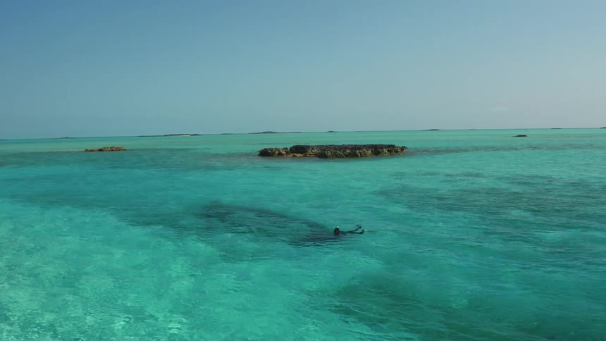 A snorkeler is swimming in a lagoon on a sunny day