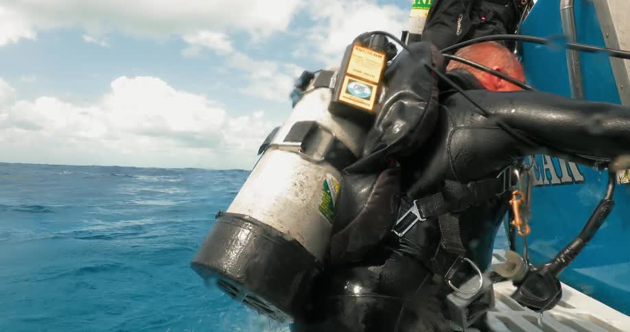 A scuba diver climbs up onto a boat as a shark swims nearby