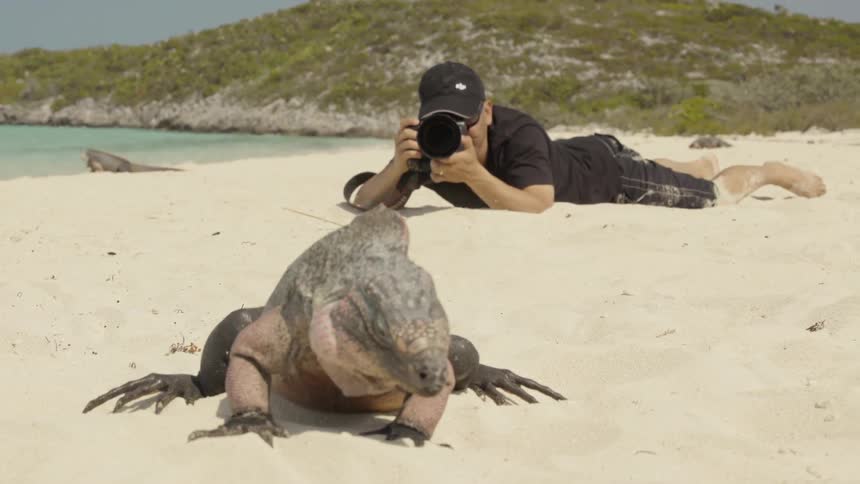 A man is photographing a lizard on the beach