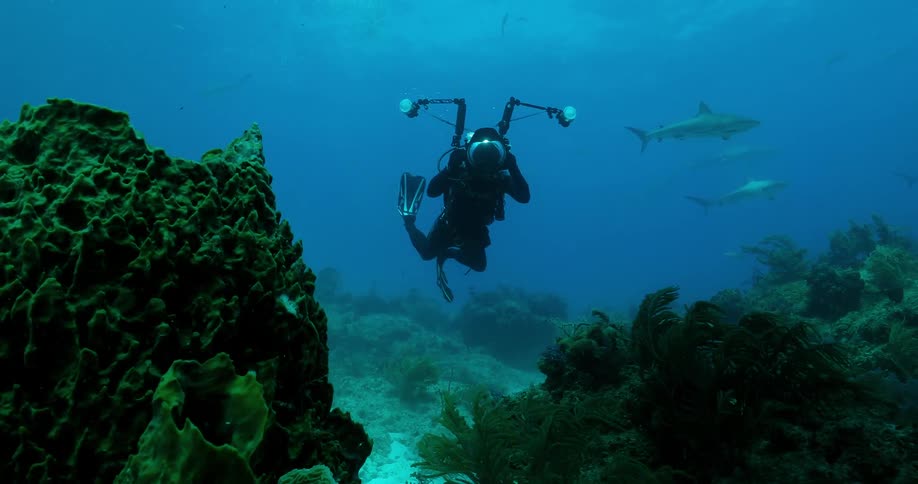 A diver swims at the bottom of the ocean with sharks and fish