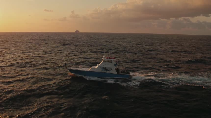 A boat travels on the water