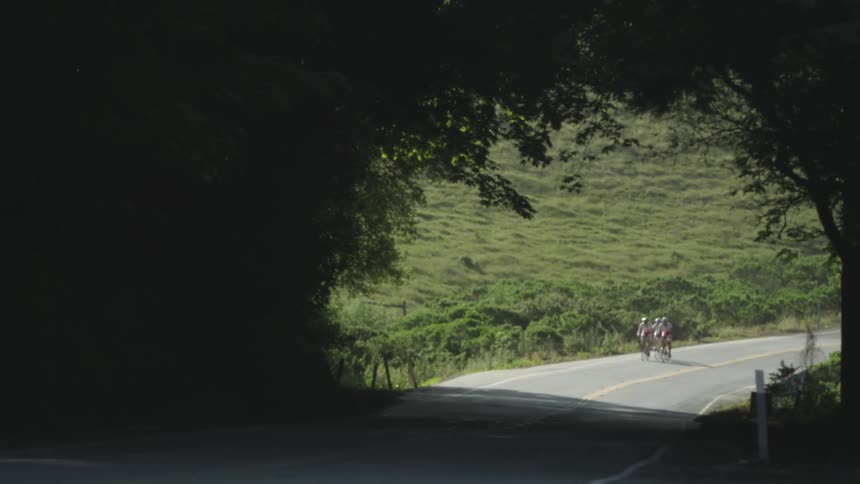 Bicyclists and a motorcyclist ride into and out of a tunnel of tree foliage