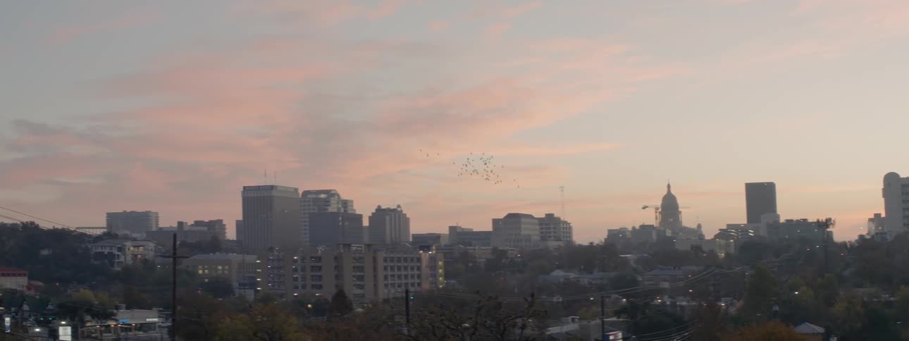Flock of birds flying over a large city at a cloudy sunset