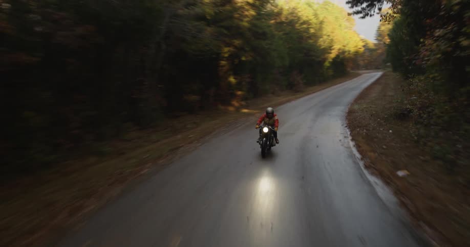 Person riding a motorcycle down a paved road through a forest on a fall day