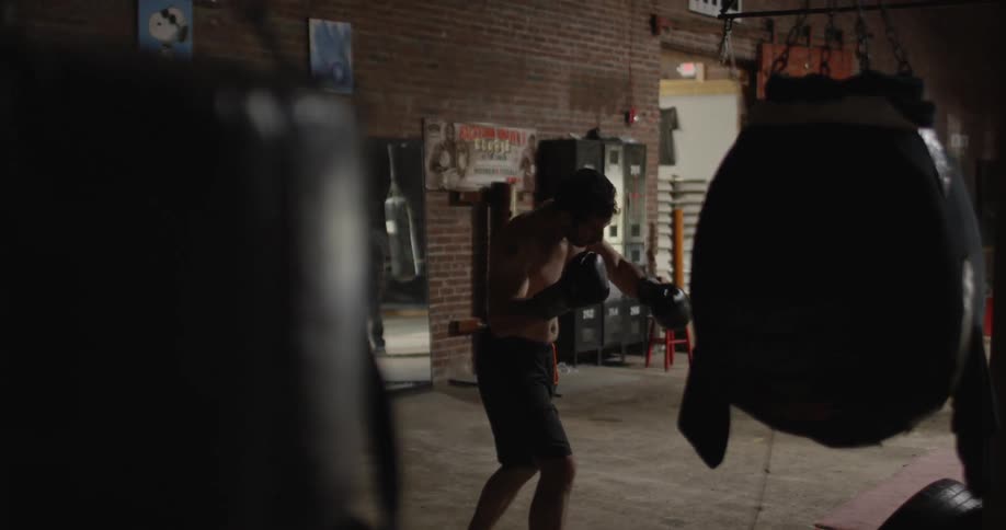 Boxer