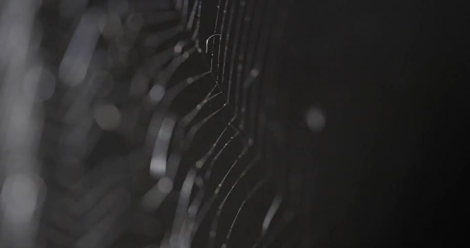 A textured surface vibrates in the dark