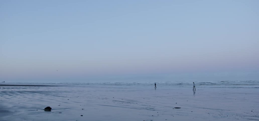 Two people walk on the beach shore