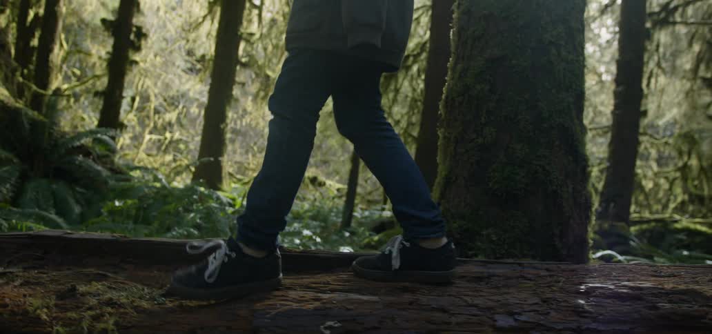 A person walks over a fallen tree