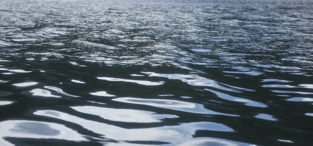 Small waves flow on the water surface