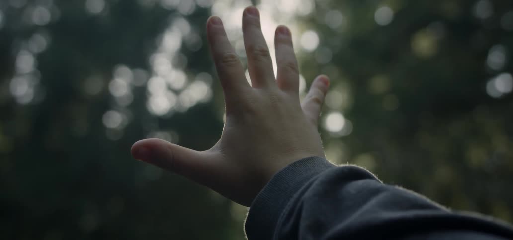 Hand reaches out to the trees