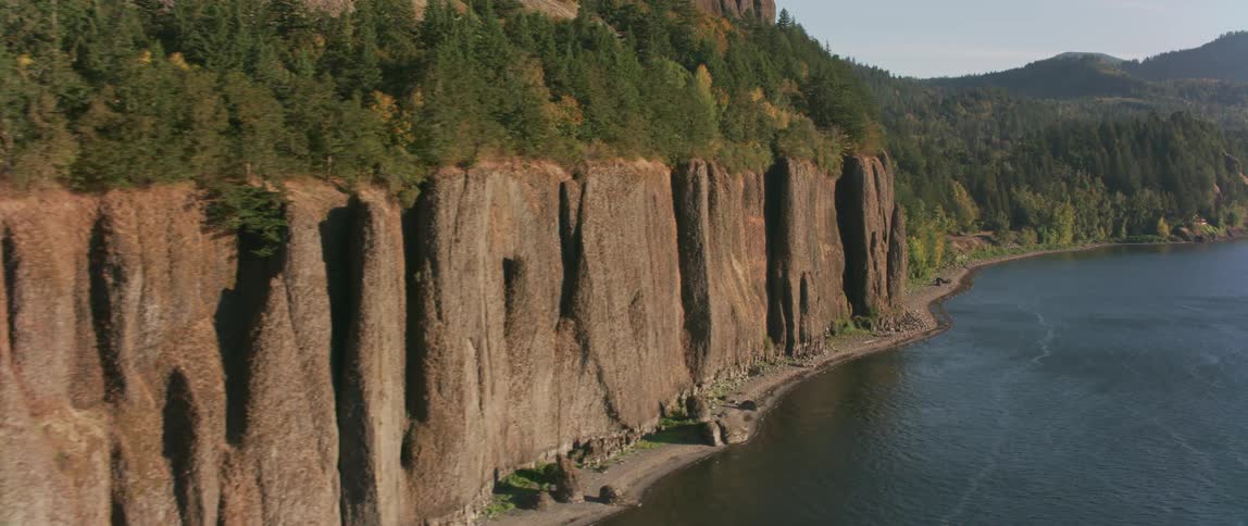Trees grow on a coastal cliff