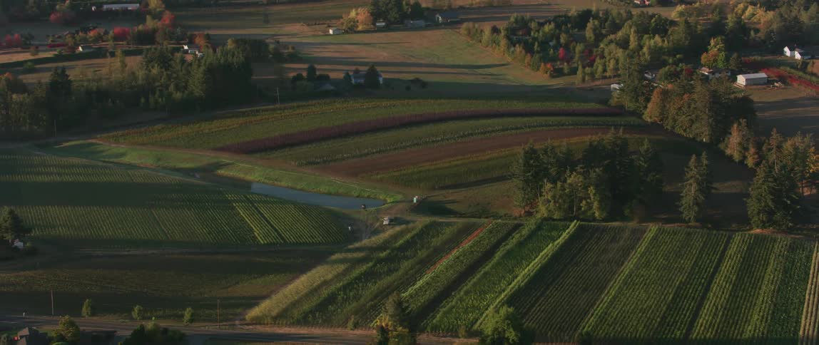 Crops create different patterns and colors on the fields