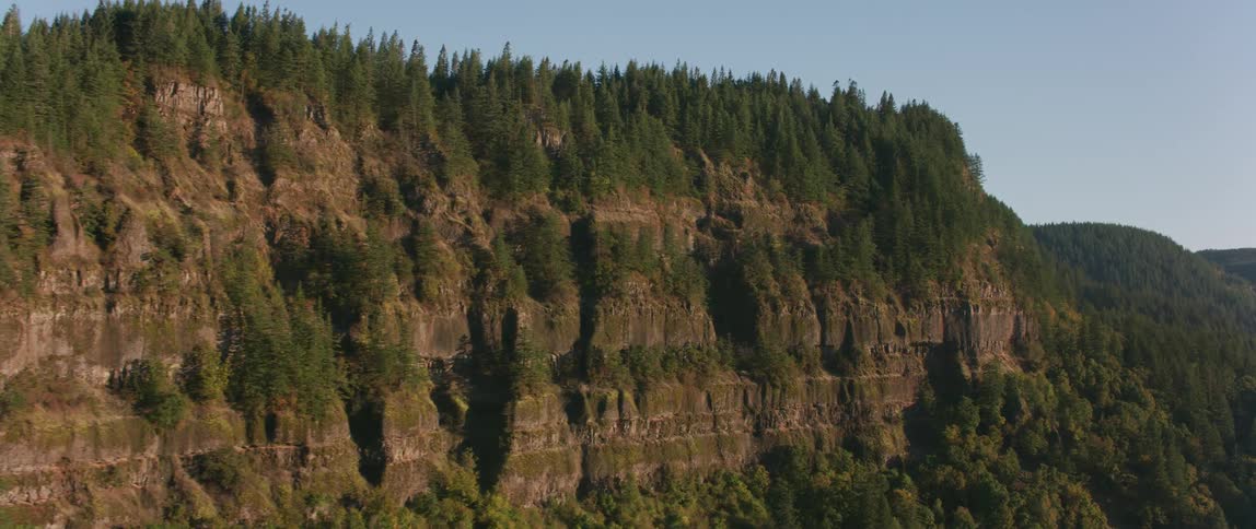 Trees cover the cliffs