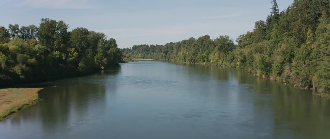 A river is flowing past trees and fields on a sunny day