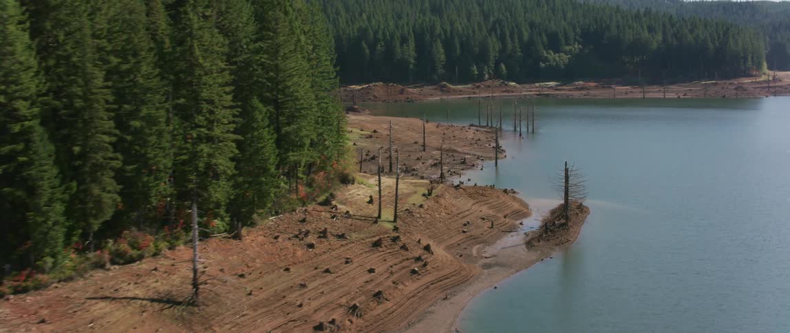 Pine trees surround a mountain lake