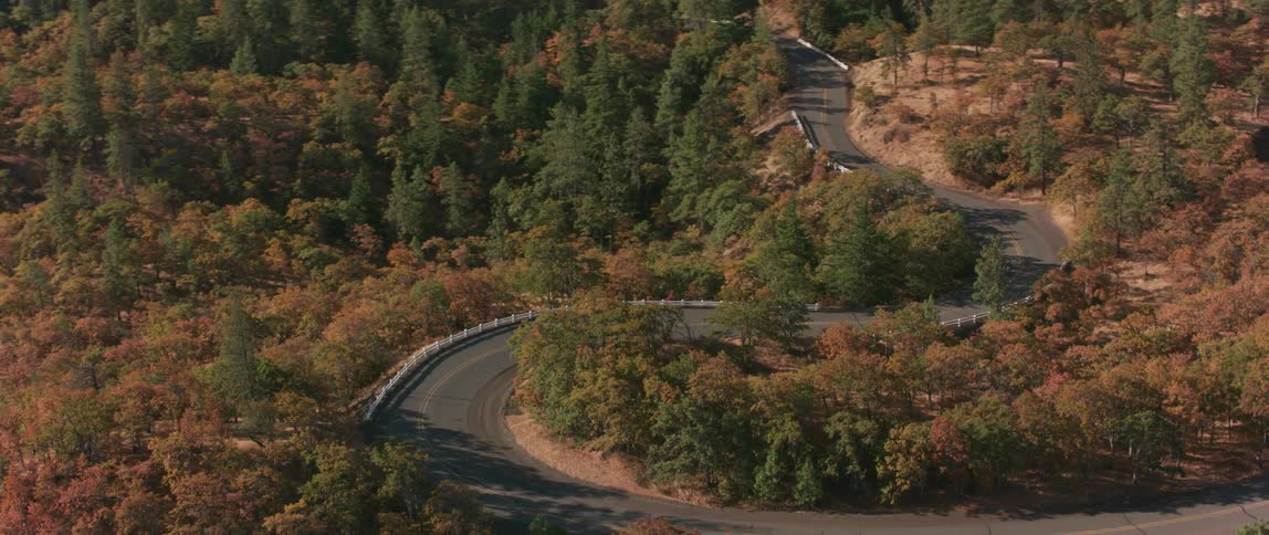 Winding road through a beautiful fall forest