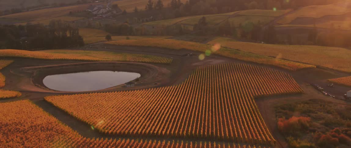 Crops cover the landscape