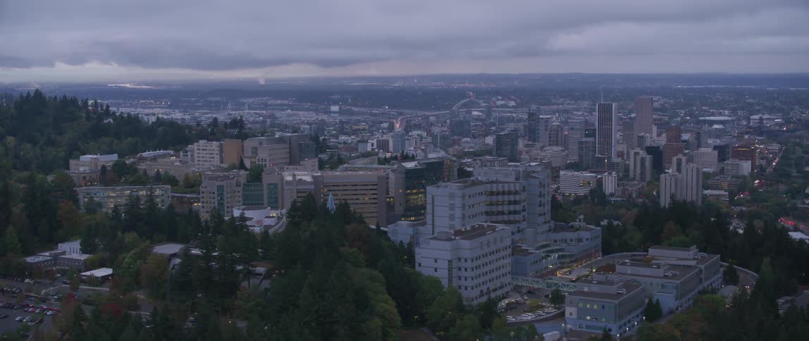 Many buildings on a hillside with buildings below