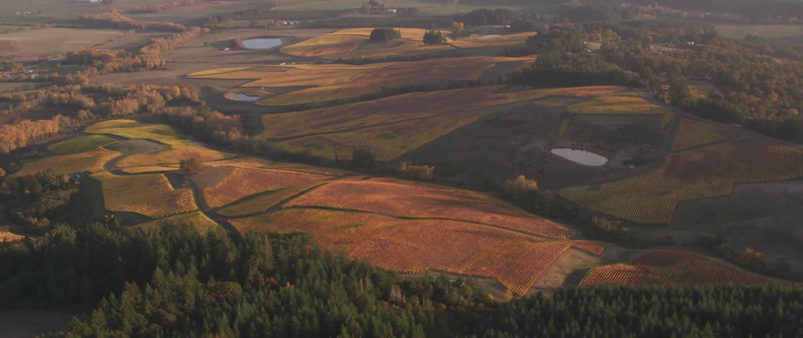 Sun shines on hilly farm land