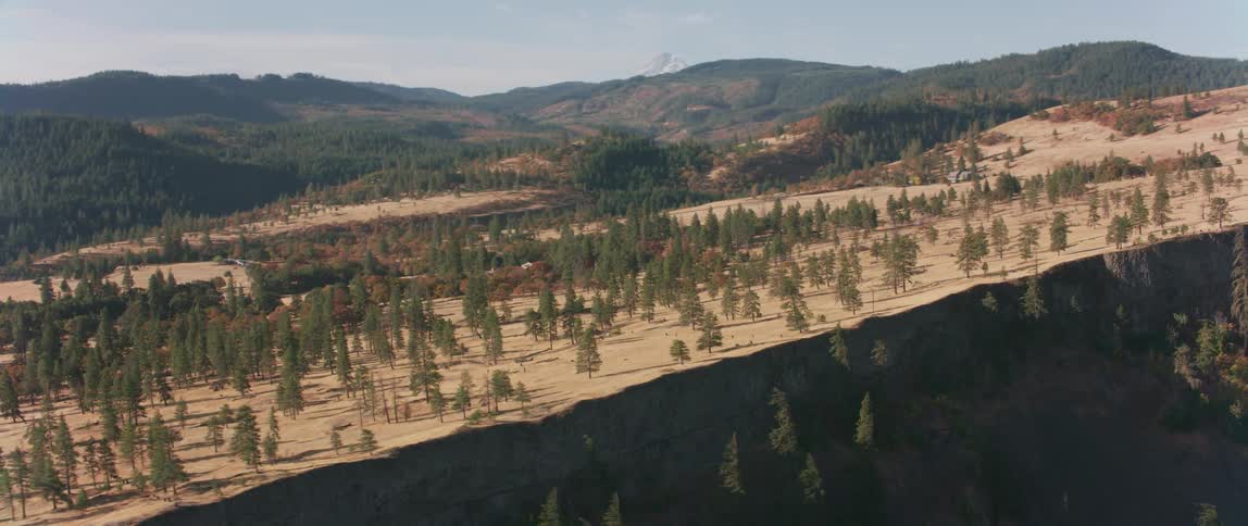 Trees are sparsely spread out on the side of a mountain