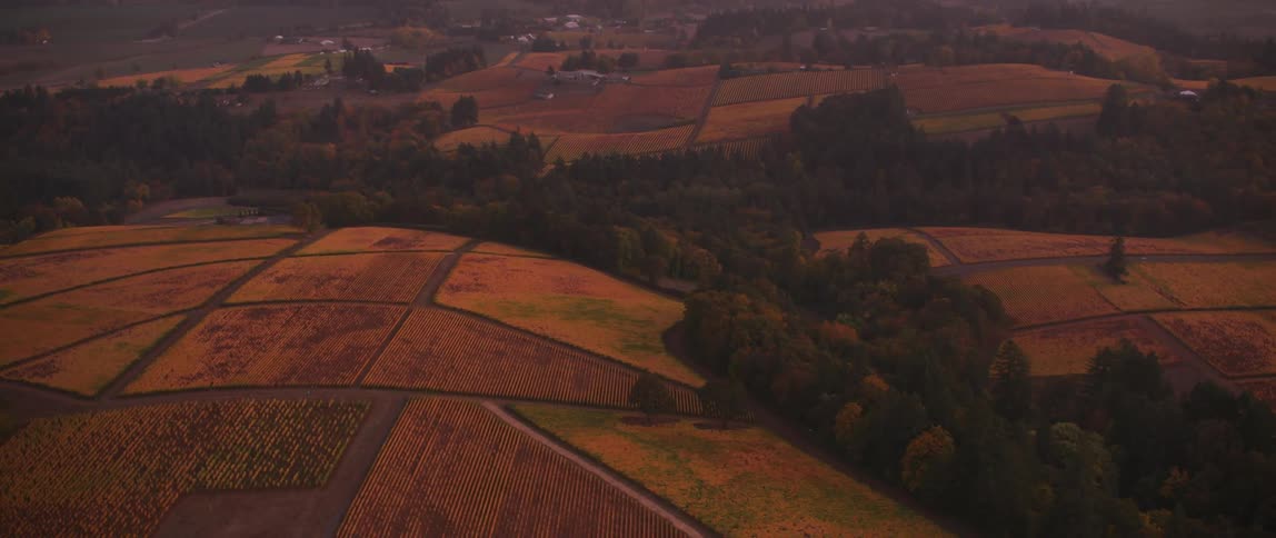 Fields and trees sit under a cloudy sky