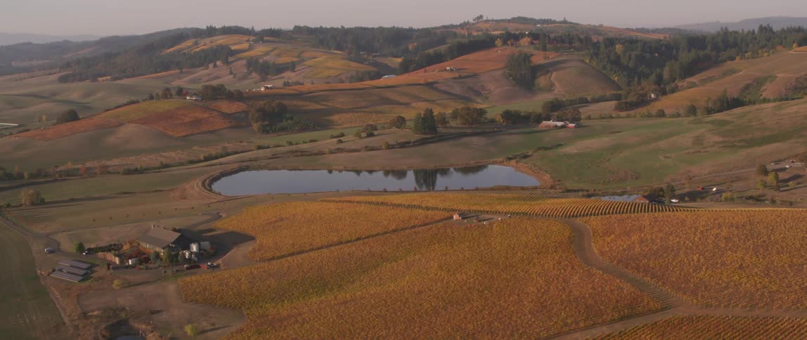 Crop fields on the slopes are separated by path lines