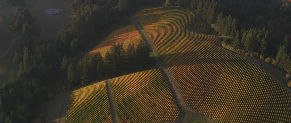 Fields and trees sit under a cloudy sky