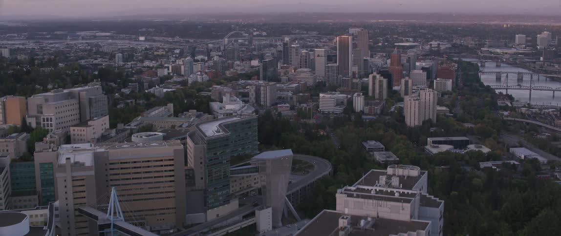 A vast expanse of trees and buildings