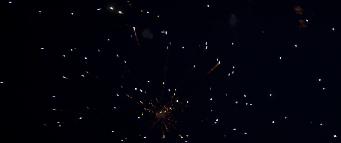 Fireworks explode in the sky