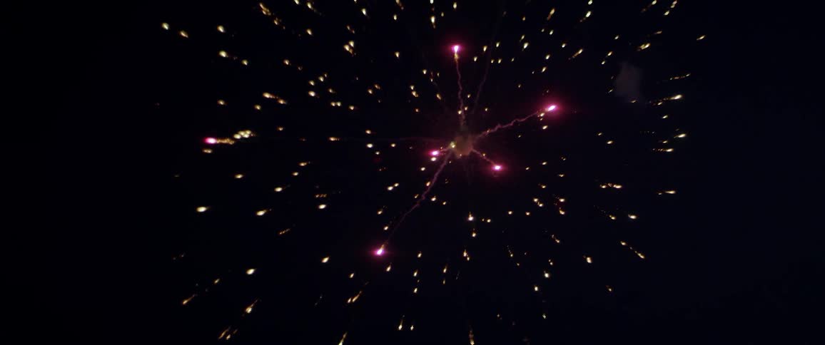 Fireworks are exploding in the night sky