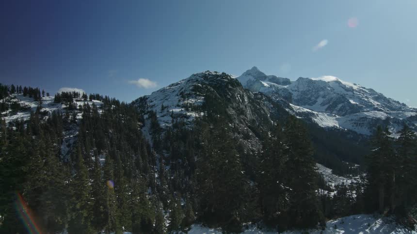Trees and snow cover a mountain slope