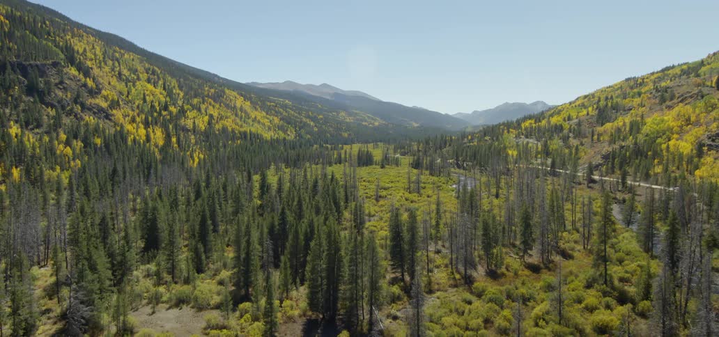 Trees cover the valley between mountains