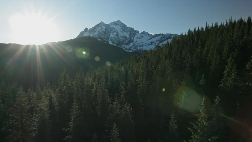Trees cover the valley between mountains