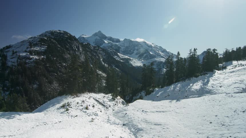 There are trees and snow on top of the tall mountain