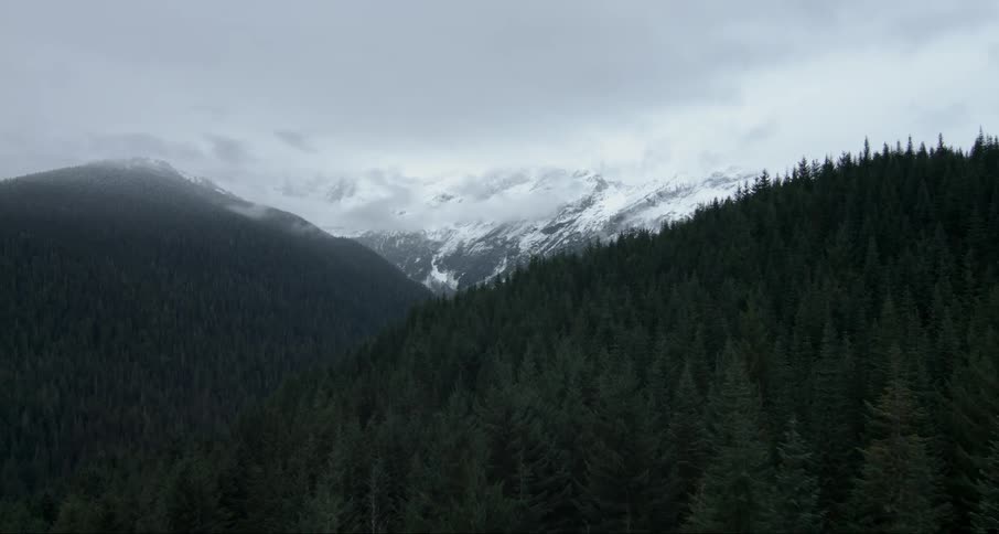 Large thick clouds are over the mountain past the forest